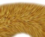 Close-up of visualizing wind on the fur of the 
torus